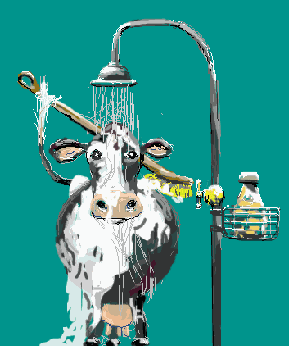 la vache